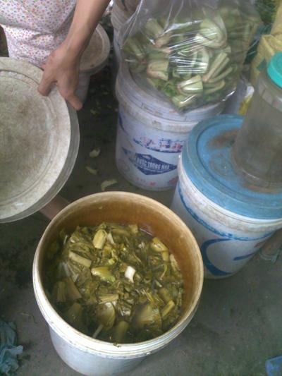 su-dung-thung-son-dung-do-an-co-nguy-co-bi-ung-thu-01